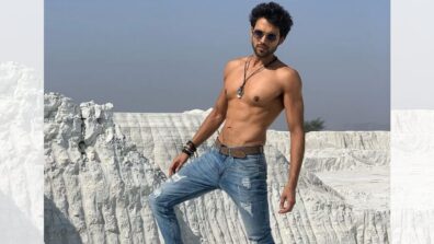 “It’s now or Never”, Parth Samthaan’s big resolution