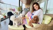 Kriti Sanon’s ‘awesome pawsome’ moment
