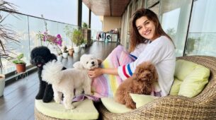 Kriti Sanon’s ‘awesome pawsome’ moment