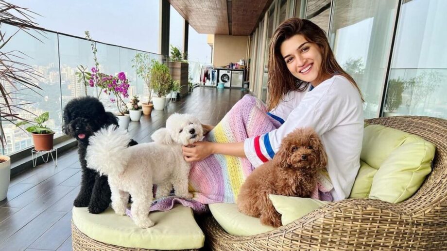 Kriti Sanon's 'awesome pawsome' moment 763341