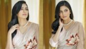 Malavika Mohanan’s irresistible saree glow is mesmerizing