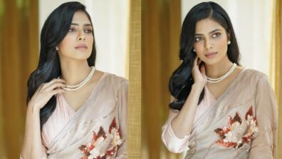 Malavika Mohanan’s irresistible saree glow is mesmerizing