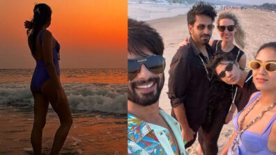 Mira Rajput Chills In A Blue Swimsuit With Shahid Kapoor And Friends For New Year Getaway