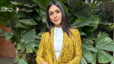 Mrunal Thakur Is Becoming New Obsession In South; Read