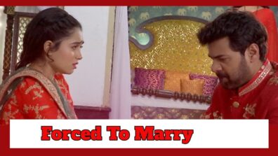 Pyar Ka Pehla Naam Radha Mohan: OMG!! Mohan gets forced to marry Radha