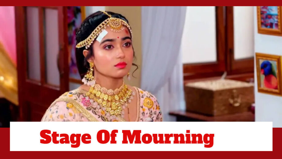 Pyar Ka Pehla Naam Radha Mohan: Radha's 'muh-dikhaai' turns into a mourning stage 764898