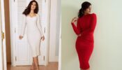 Raashii Khanna Slayed The Captivating Looks In Bodycon Dresses; Striking Poses Grabs Attention