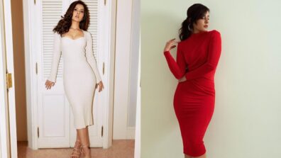 Raashii Khanna Slayed The Captivating Looks In Bodycon Dresses; Striking Poses Grabs Attention