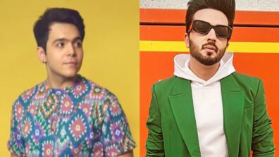 Raj Anadkat or Dheeraj Dhoopar, whose quirky style looks dope?