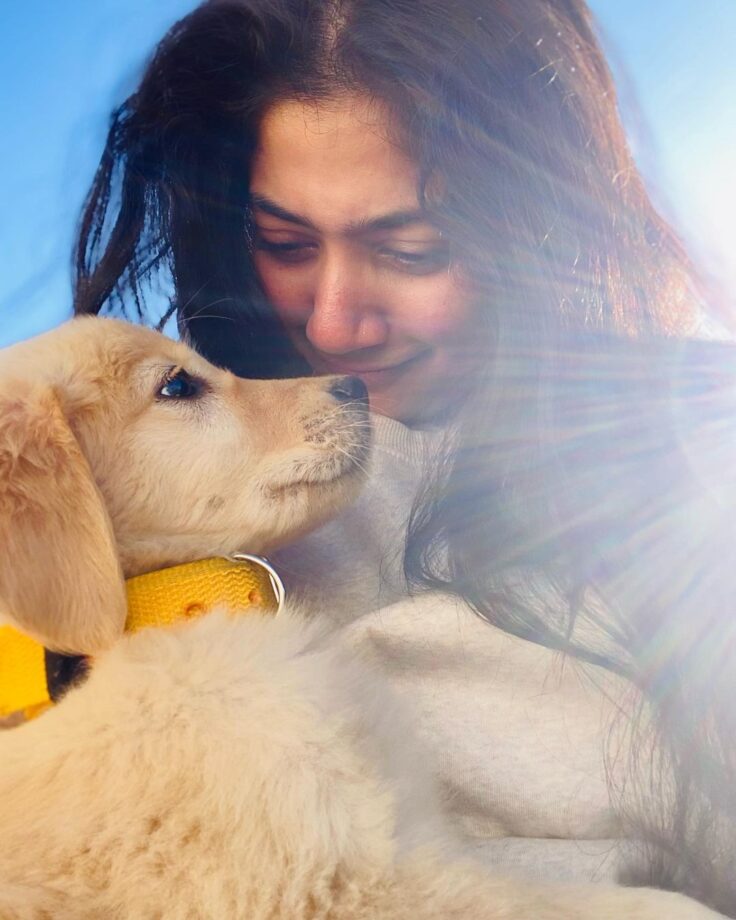 Sai Pallavi's 'awesome pawsome' moment is all hearts 756106