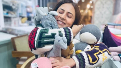 Sargun Mehta ‘Hugs’ Stuffed Toys; Ravi Dubey Calls ‘Choti’