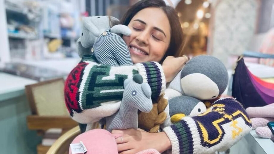 Sargun Mehta 'Hugs' Stuffed Toys; Ravi Dubey Calls 'Choti' 755739