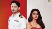 Shaheer Sheikh and Erica Fernandes are back! What’s cooking?