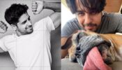 Sidharth Malhotra Sensationalised The Internet