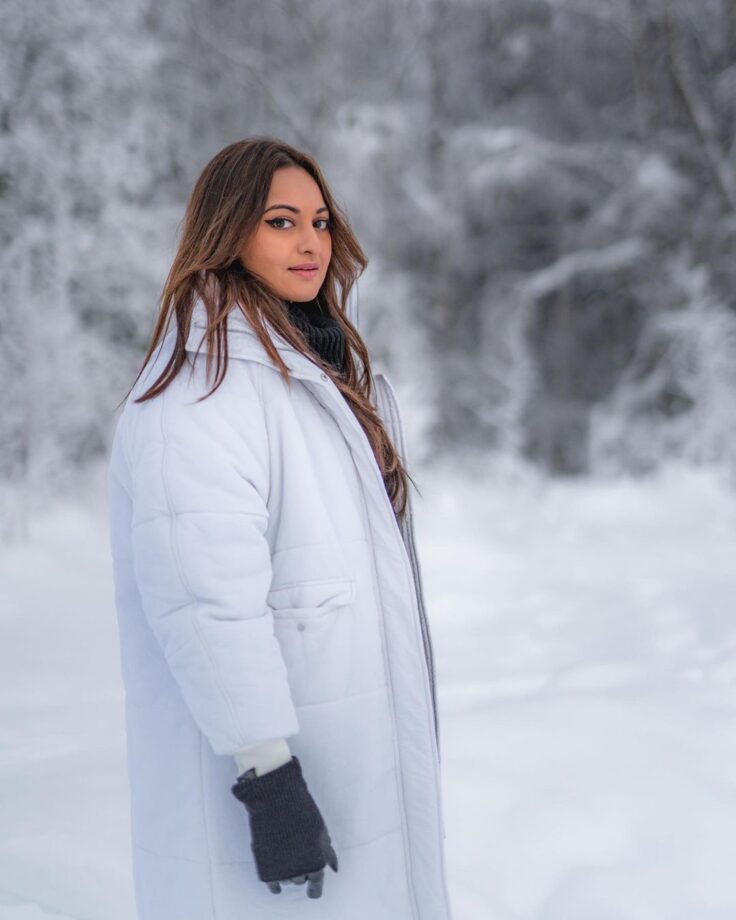 Sonakshi Sinha discovers ‘winter wonderland’, see pics 754807