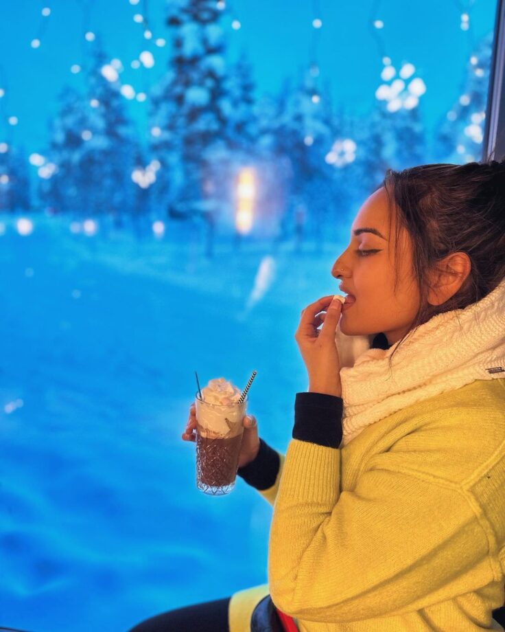 Sonakshi Sinha discovers ‘winter wonderland’, see pics 754795