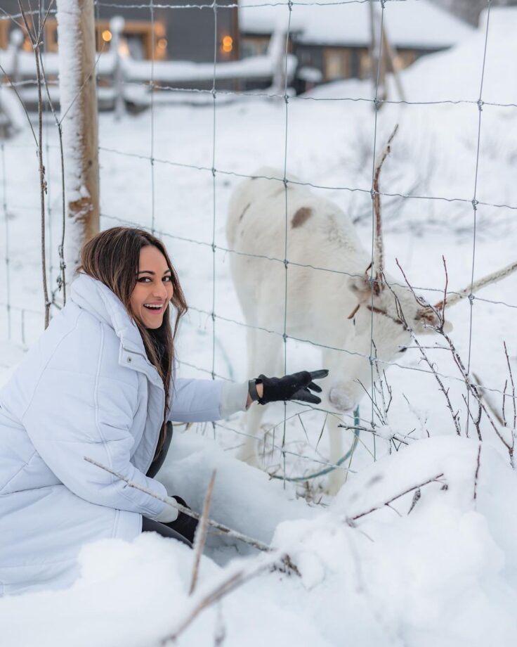 Sonakshi Sinha discovers ‘winter wonderland’, see pics 754801