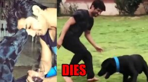 Sushant Singh Rajput’s pet dog Fudge dies