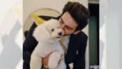 Too Adorable: Kartik Aaryan’s ‘pawsome’ moment with Katori is too adorable