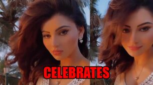 Urvashi Rautela celebrates success of her movie Waltair Veerayya in latest video, watch now