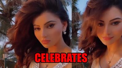 Urvashi Rautela celebrates success of her movie Waltair Veerayya in latest video, watch now