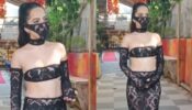 Urfi Javed dazzles in black semi-transparent bold outfit, see video