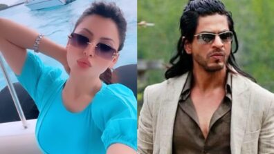 Urvashi Rautela showers love on Shah Rukh Khan, has special message for him