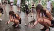 Viral Video: A Baby Monkey Playing With A Woman Will Make You Awestruck