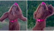 Viral Video: A Woman In Female Gorilla Outfit Does Cat Walk On ‘Mausam Ka Jaadu’