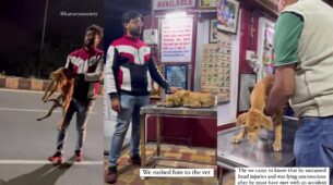 Viral Video: Couple Saves An Injured Dog’s Life; Proves Humanity Exists! Watch