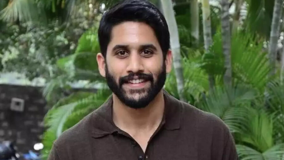 Watch: 3 Worth Watching Movies By Naga Chaitanya 755666