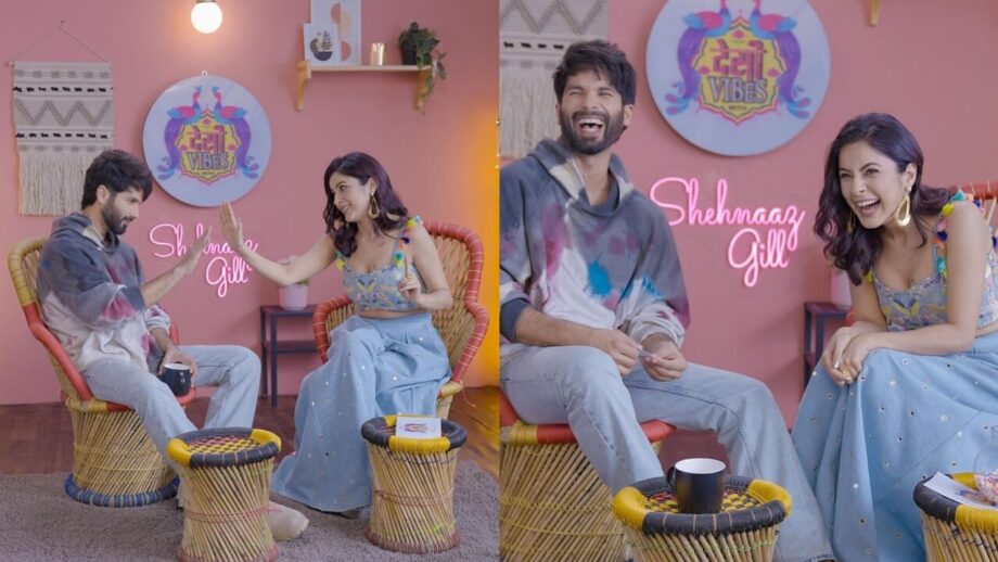 Watch: Shahid Kapoor and Shehnaaz Gill's unlimited goofy fun 764552