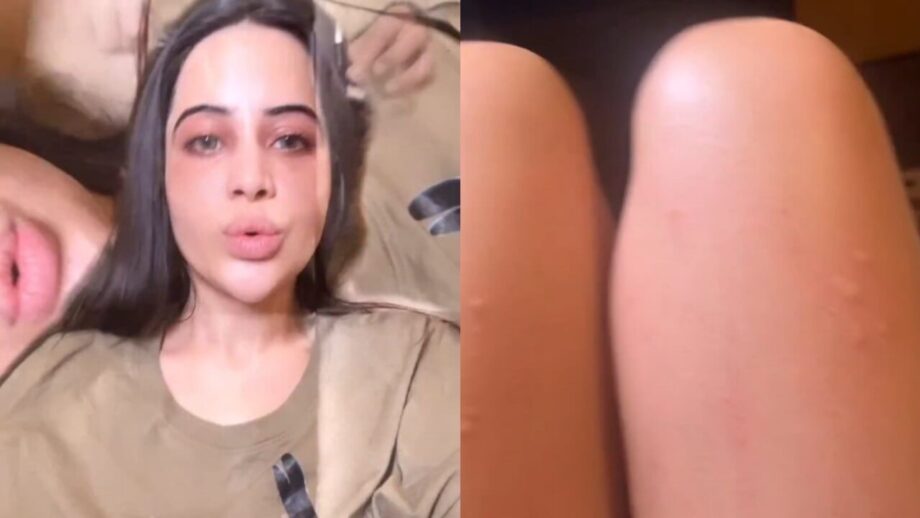 Watch: Urfi Javed reveals why she likes being n*ked 754639