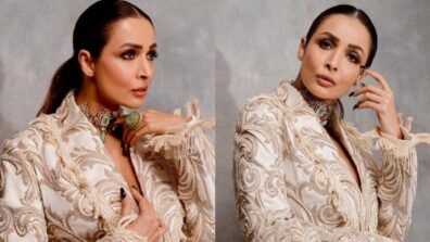 We Can’t Help But Adore Malaika Arora As She Poses In A Shantanu And Nikhil Original