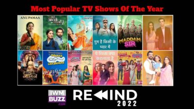 Year Ender 2022: Most Popular TV Shows Of The Year: Anupamaa, Bade Achhe Lagte Hain 2, Bhabhiji Ghar Par Hain, Bhagyalakshmi, Kundali Bhagya, Kumkum Bhagya, Ghum Hai Kisikey Pyaar Meiin, Maddam Sir, Naagin 6, Taarak Mehta Ka Ooltah Chashmah, Udaariyaan, Yeh Rishta Kya Kehlata Hai