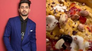 Zain Imam Loves Cooking; Here Is The Recipe Of His Favorite Chicken Baghdadi