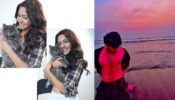 Zain Imam talks about power of imagination, Reem Sameer Sheikh says, ‘meow meow’