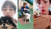 Adorable: BTS V With Pet Animals In Pictures
