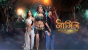 Are You A ‘Naagin’ TV Show Fan? Check Your Rank Answering These Questions!