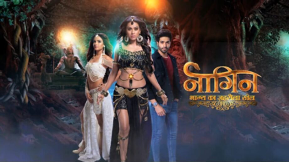 Are You A 'Naagin' TV Show Fan? Check Your Rank Answering These Questions! 777303