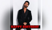 As Shahid Kapoor Turns  42, IWMBuzz Wonders What Keeps Him From The Top
