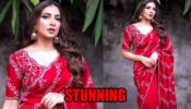 Subhashree Ganguly Looks Glamorous In Red Saree, Gives Major Ethnic Goals