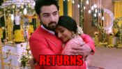 Bhagya Lakshmi: Lakshmi returns to Oberoi mansion with Rishi  