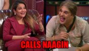 Bigg Boss 16: Krushna Abhishek calls Archana Gautam ‘naagin’ 768595