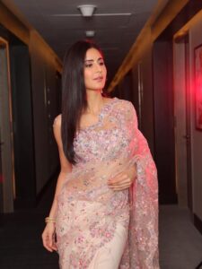 Katrina Kaif Proving Elegance In Sarees