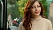 Dil Diyaan Gallaan: Amrita’s world comes crashing down with THIS big revelation about Veer