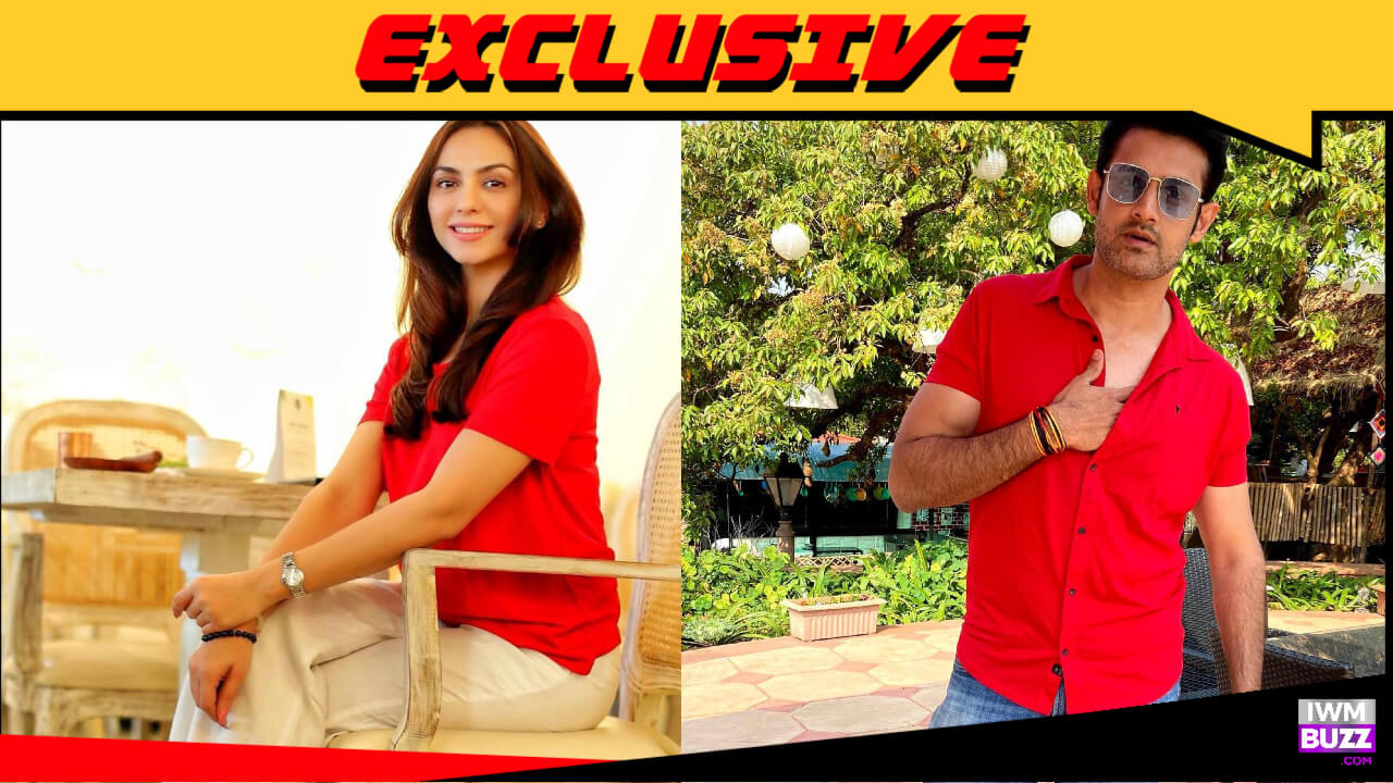 Exclusive: Vishal Nayak and Priya Bathija to enter Colors' Tere Ishq Mein Ghayal 774942