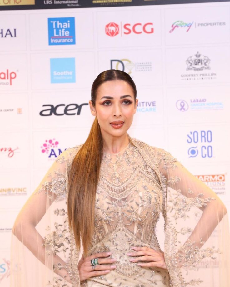 From Fashion Icon To Asia's Leader: Malaika Arora's Journey; Check Now! 777833