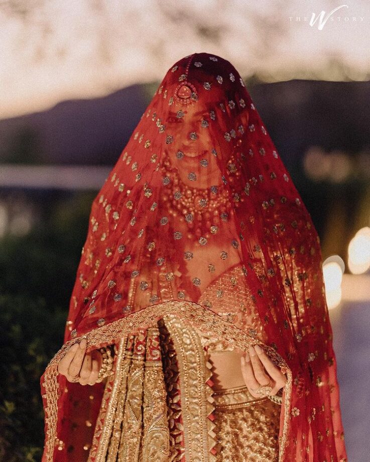 Hardik Pandya and Natasa Stankovic's adorable unseen wedding photos are 'couple goals' 773582