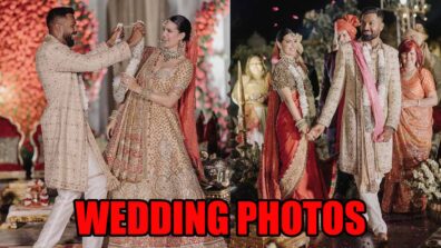 Hardik Pandya and Natasha Stankovic’s dreamy royal wedding, check photos